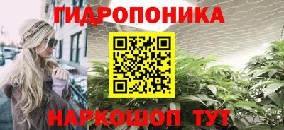 стаф Гусь-Хрустальный