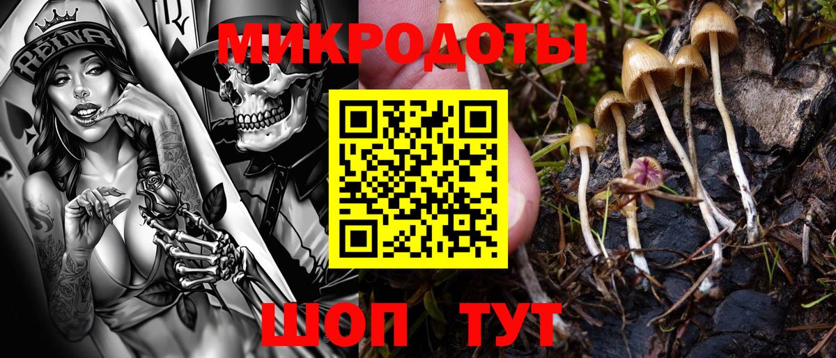 Псилоцибиновые грибы мухоморы Кировск