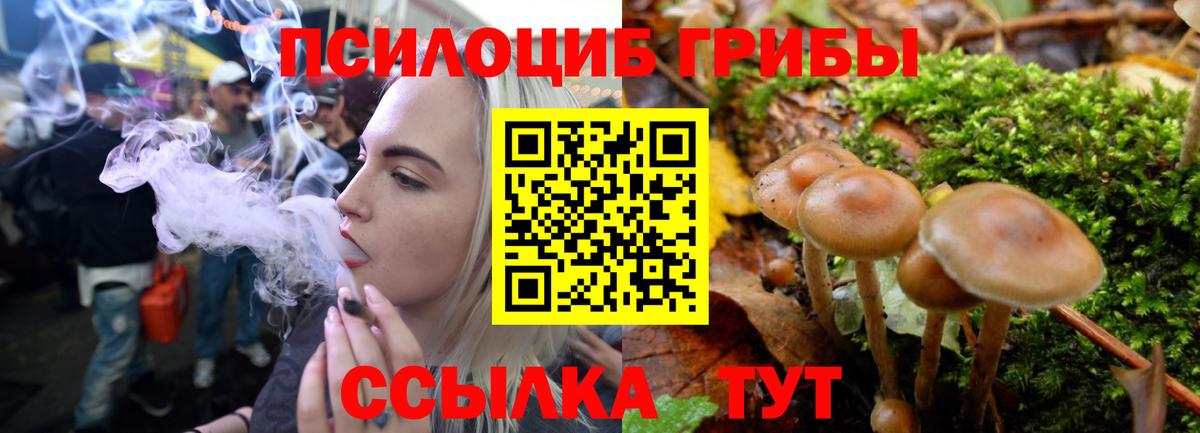 где можно купить   Вход с VPN  Кировск  Псилоцибиновые грибы ЛСД 